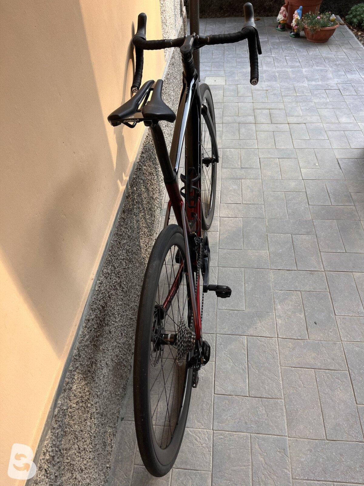 Giant Defy, Advanced 2 2024