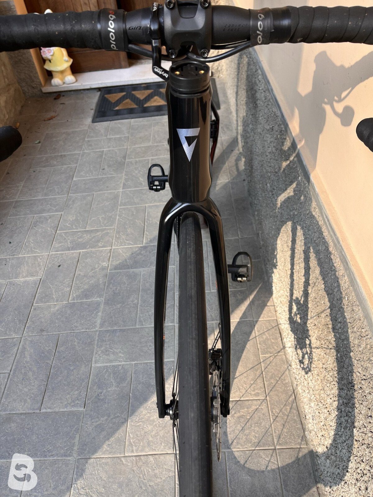 Giant Defy, Advanced 2 2024