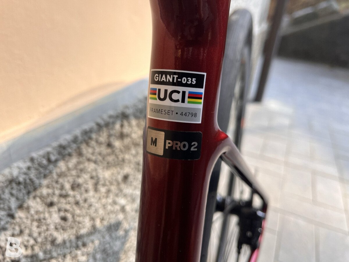 Giant Defy, Advanced 2 2024