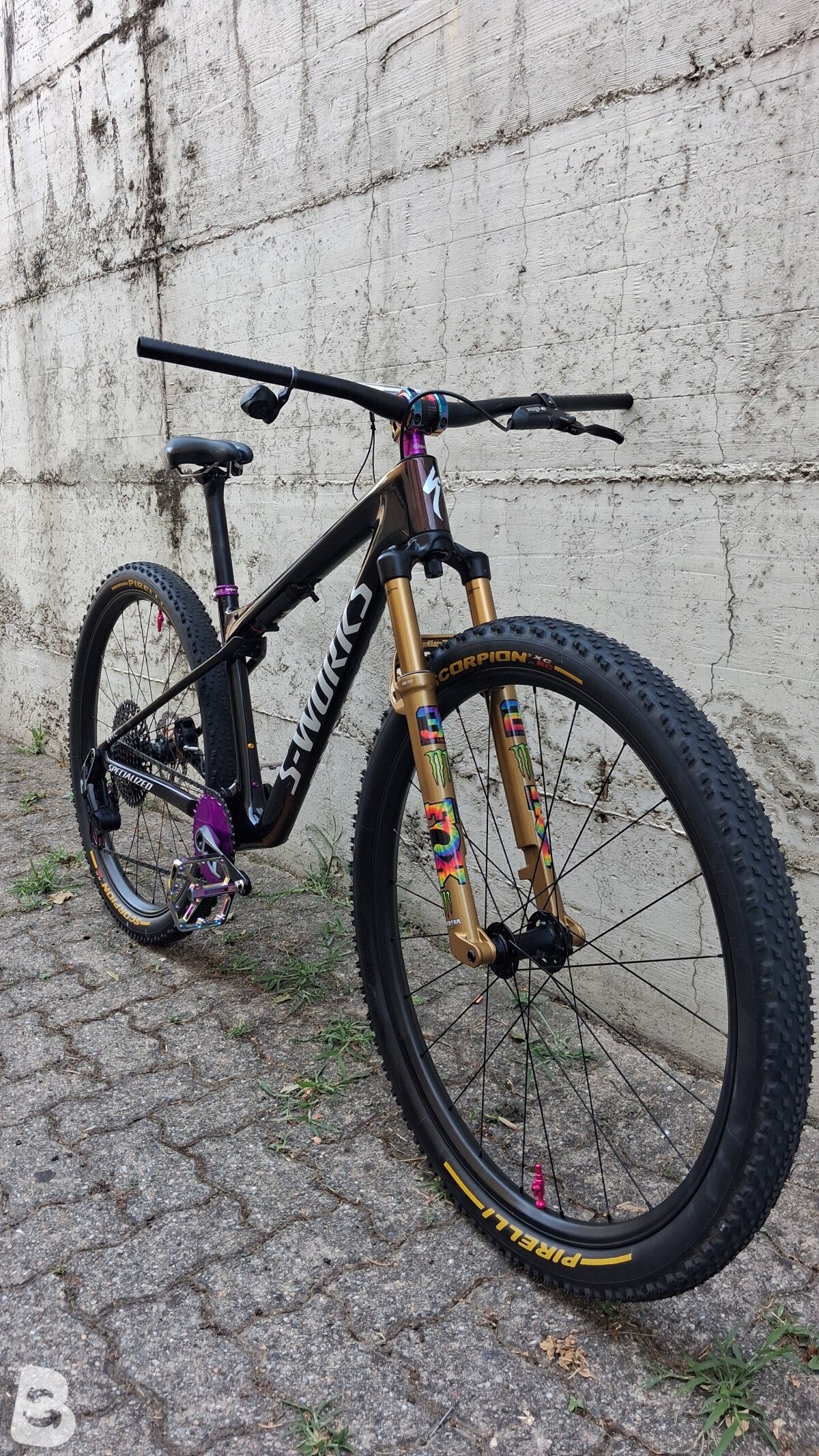 Specialized SWORKS EPIC WC 2025