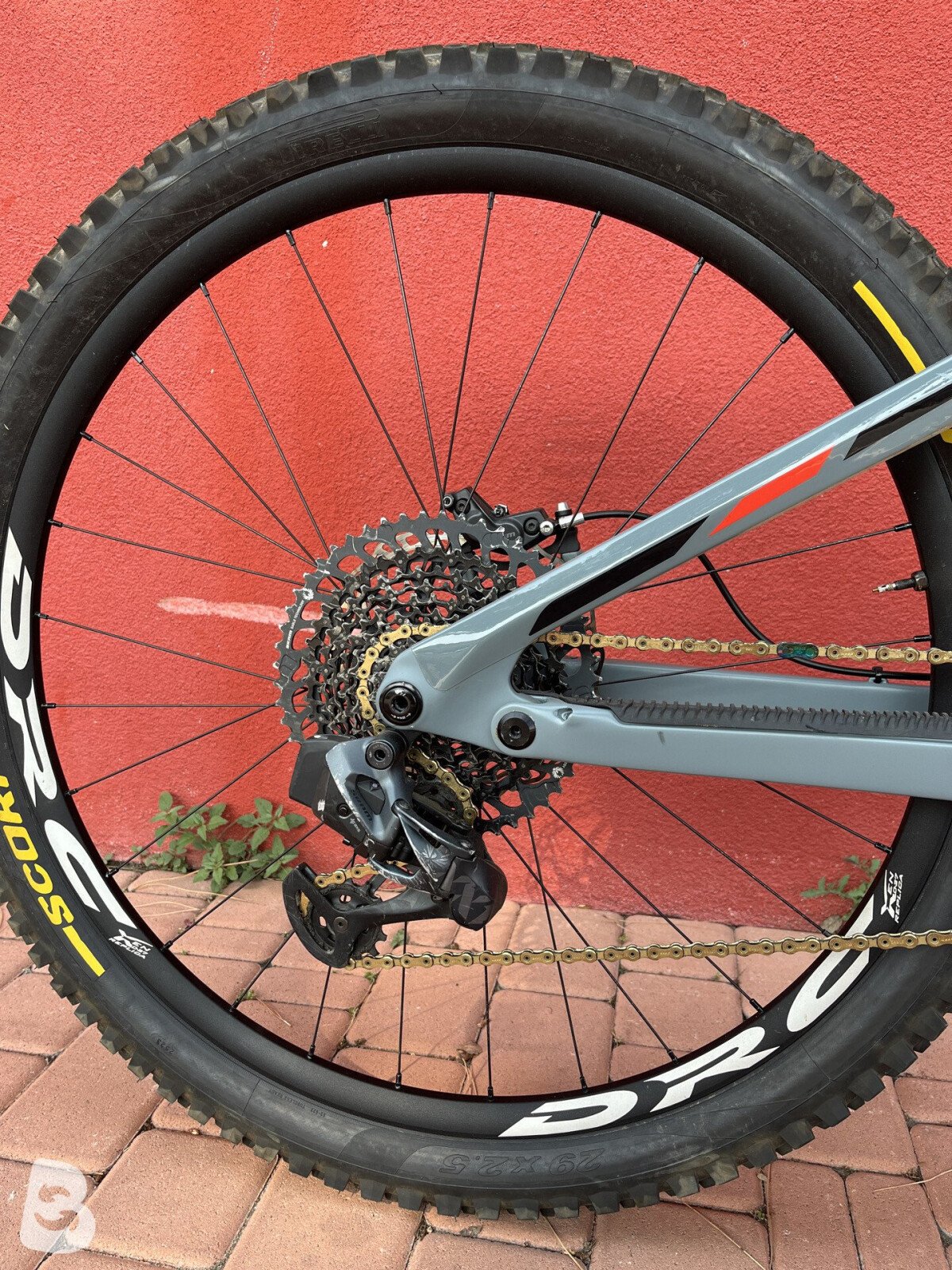 Transition Spire Carbon GX 2024