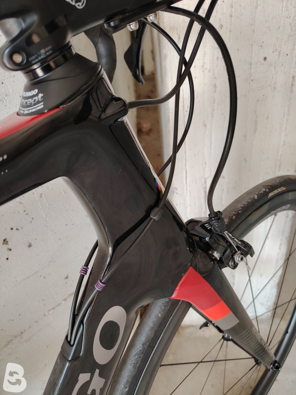 Colnago concept durace 2019