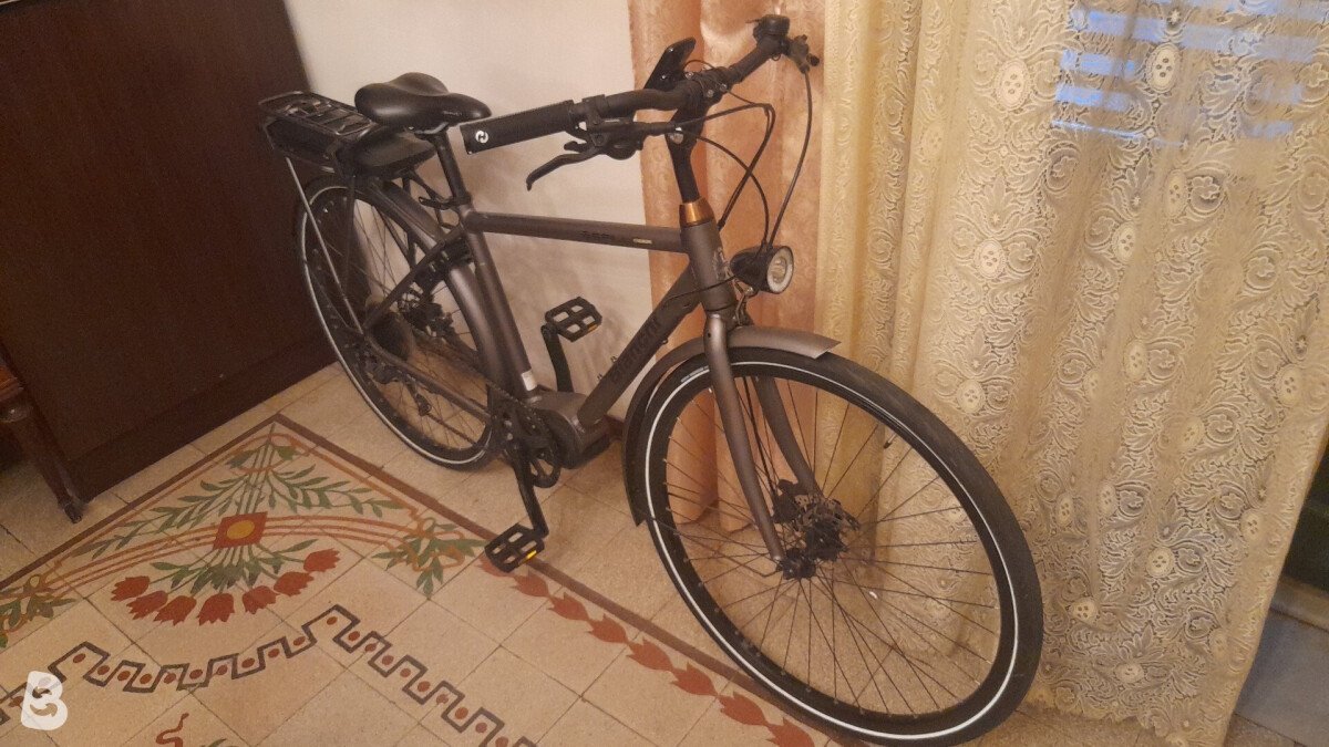 Bianchi Spillo Luxury Gent 2024