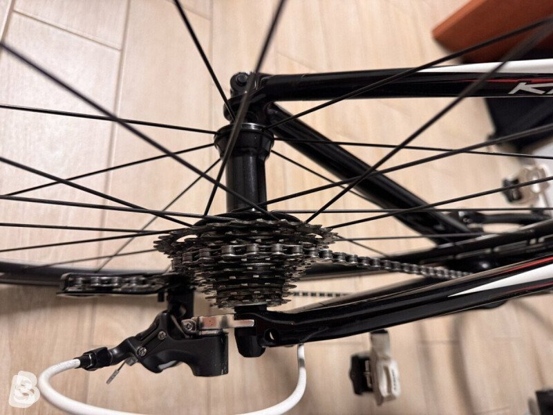 Kuota Kharma 2017