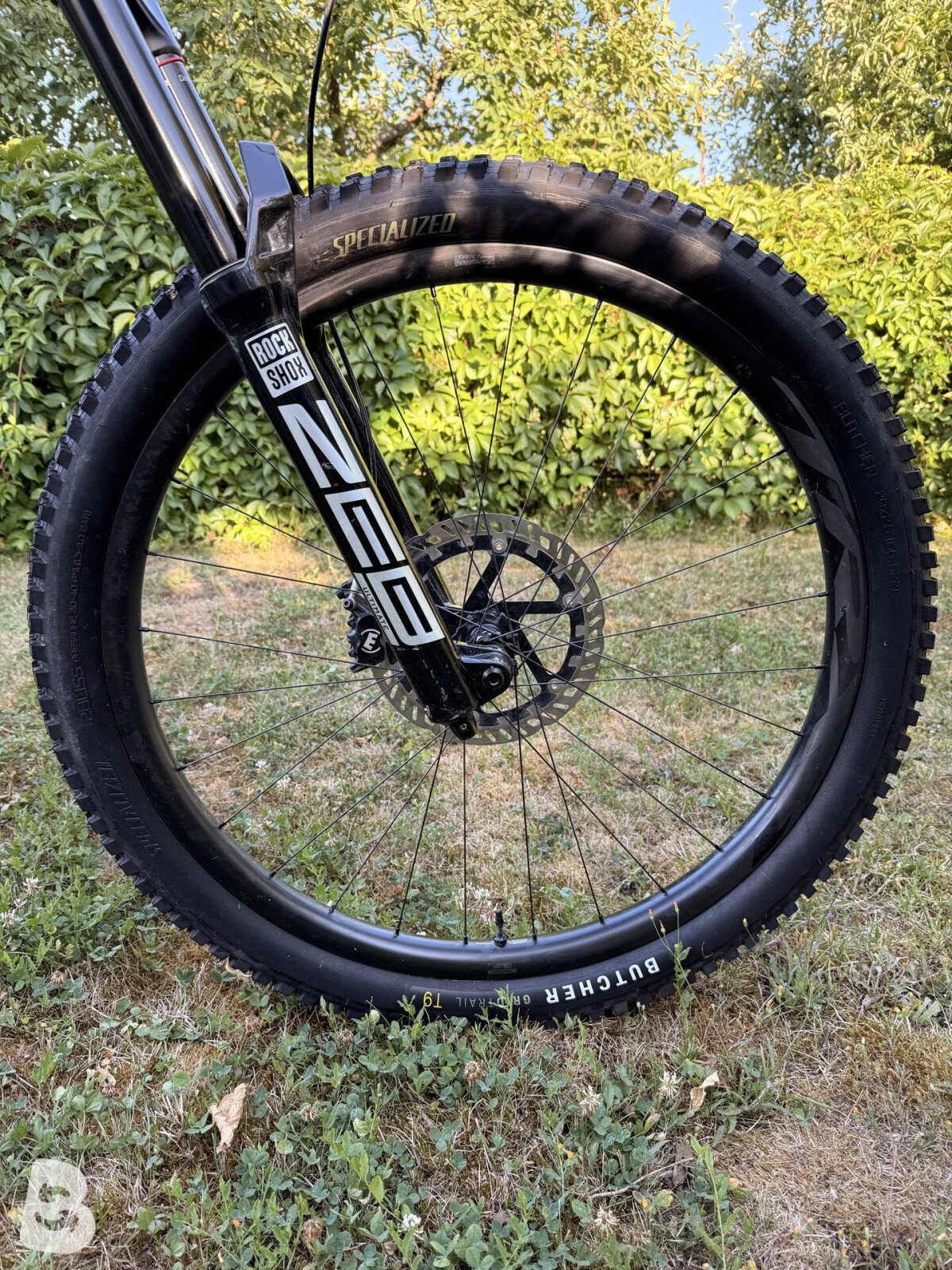 Specialized Enduro Custom 2023