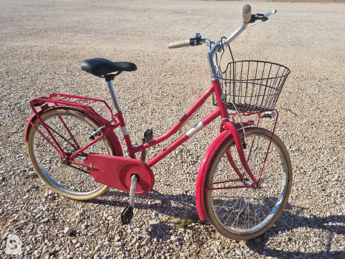 Alpina Alpina City Bike 24 2019