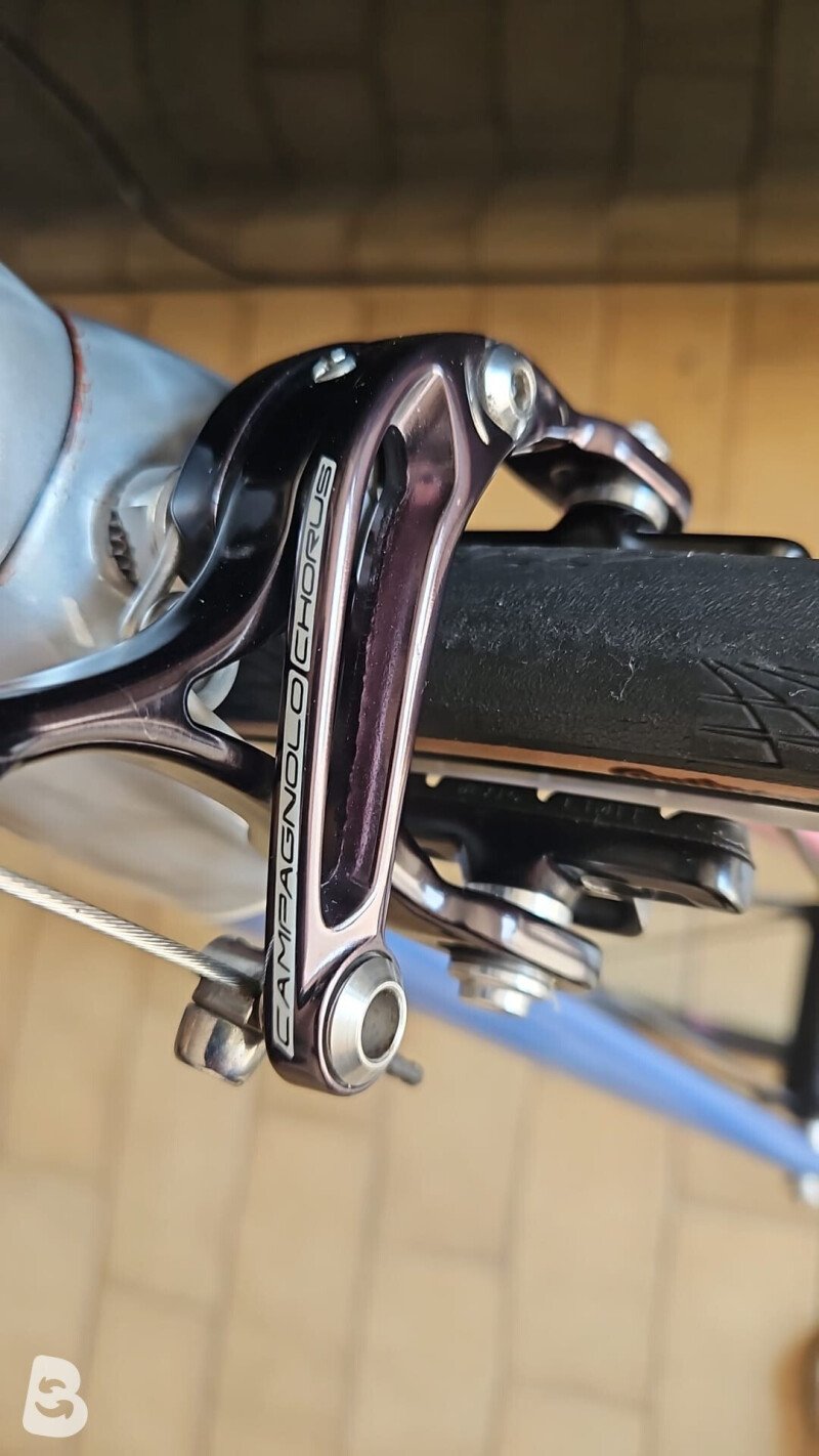 The Wolf Of Custom Titanio 2019