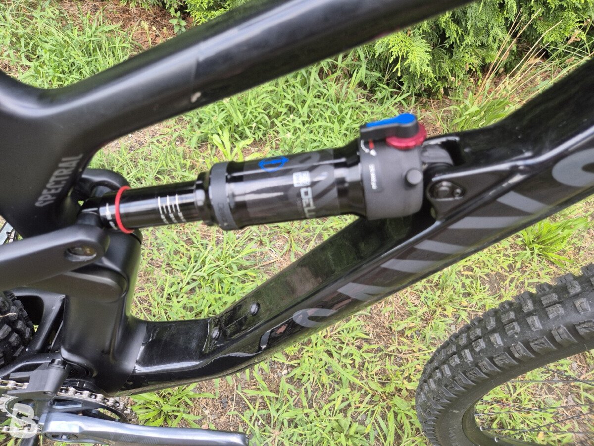 Canyon Spectral 29 CF 7.0 2021