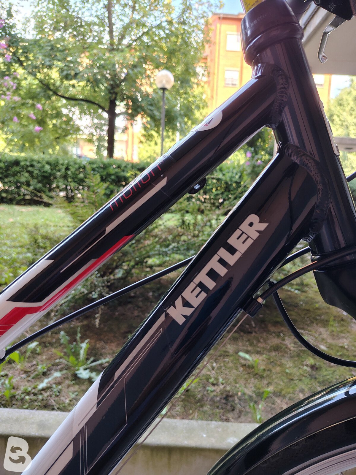 Kettler Alu-Rad 2022