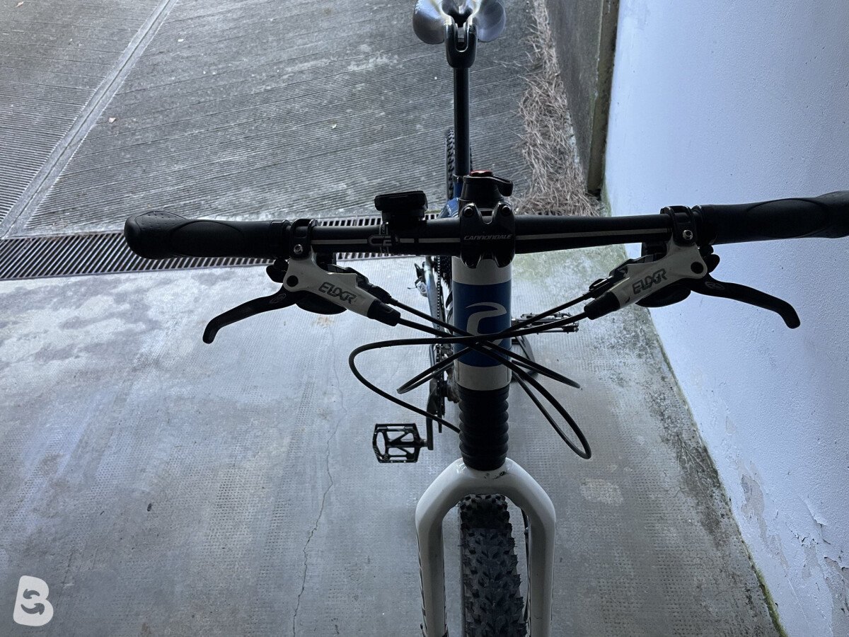 Cannondale Flash 2006