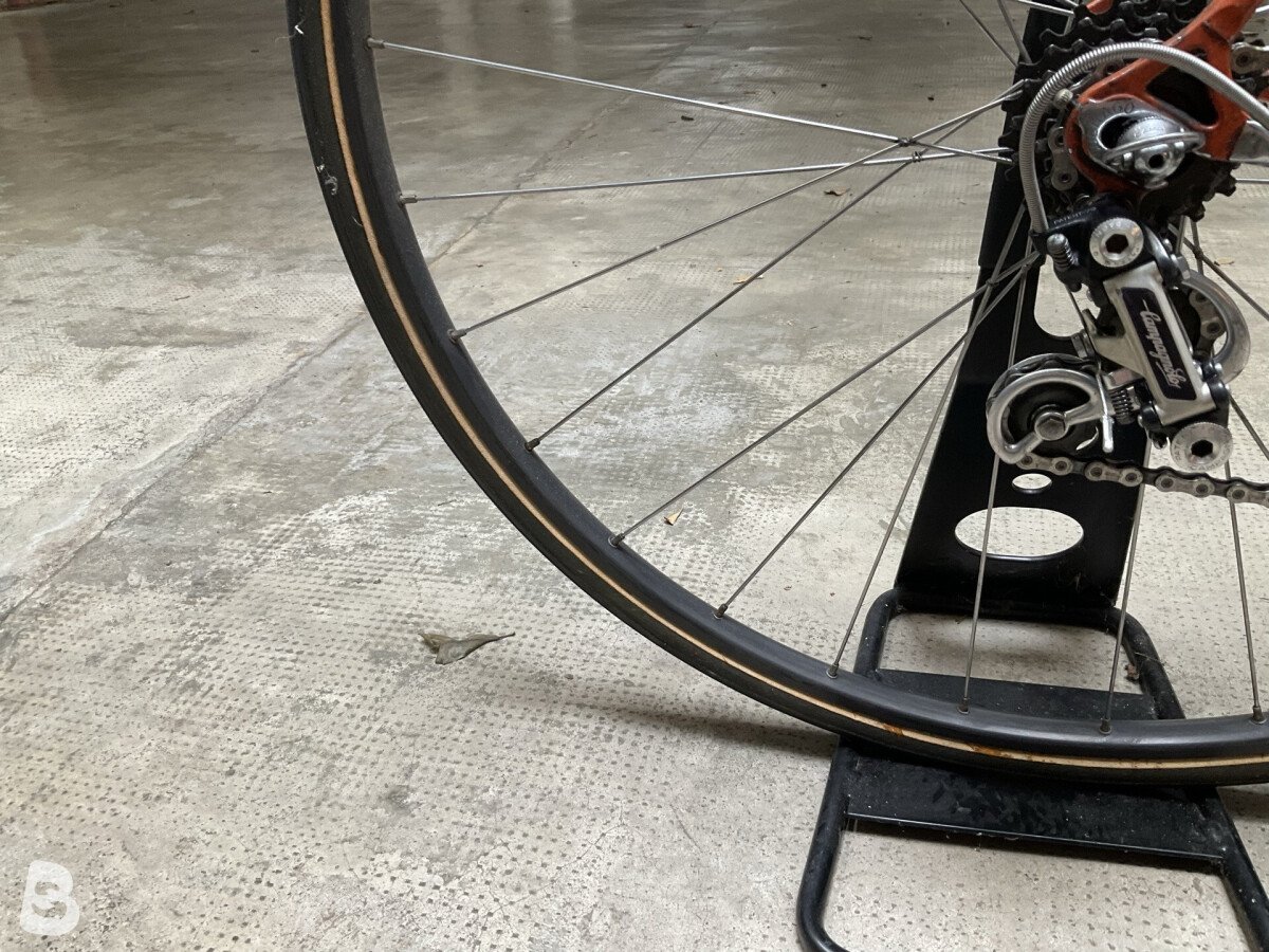 Colnago Anni 80 2026