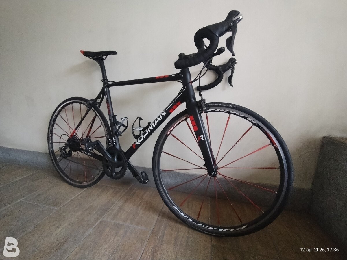 Rodman Mizar Pro 2018
