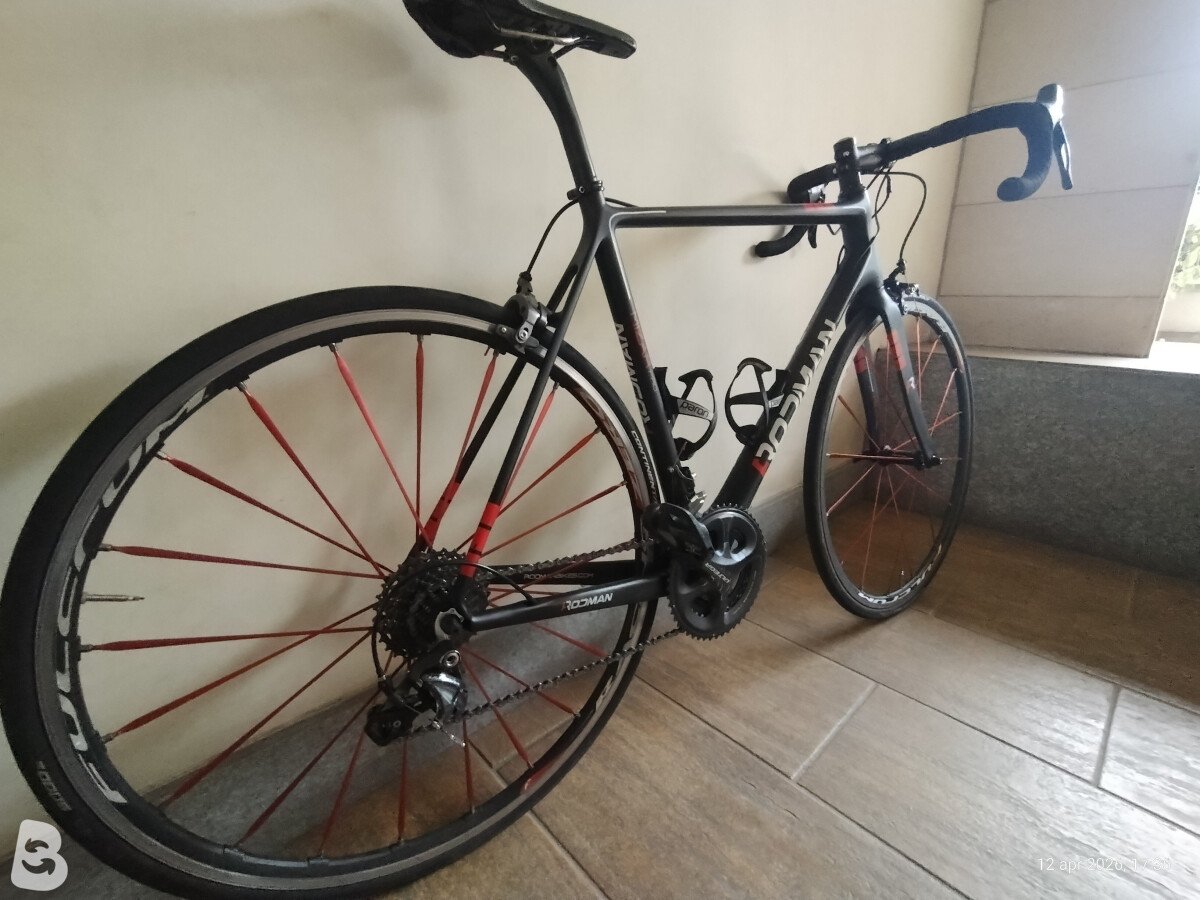 Rodman Mizar Pro 2018
