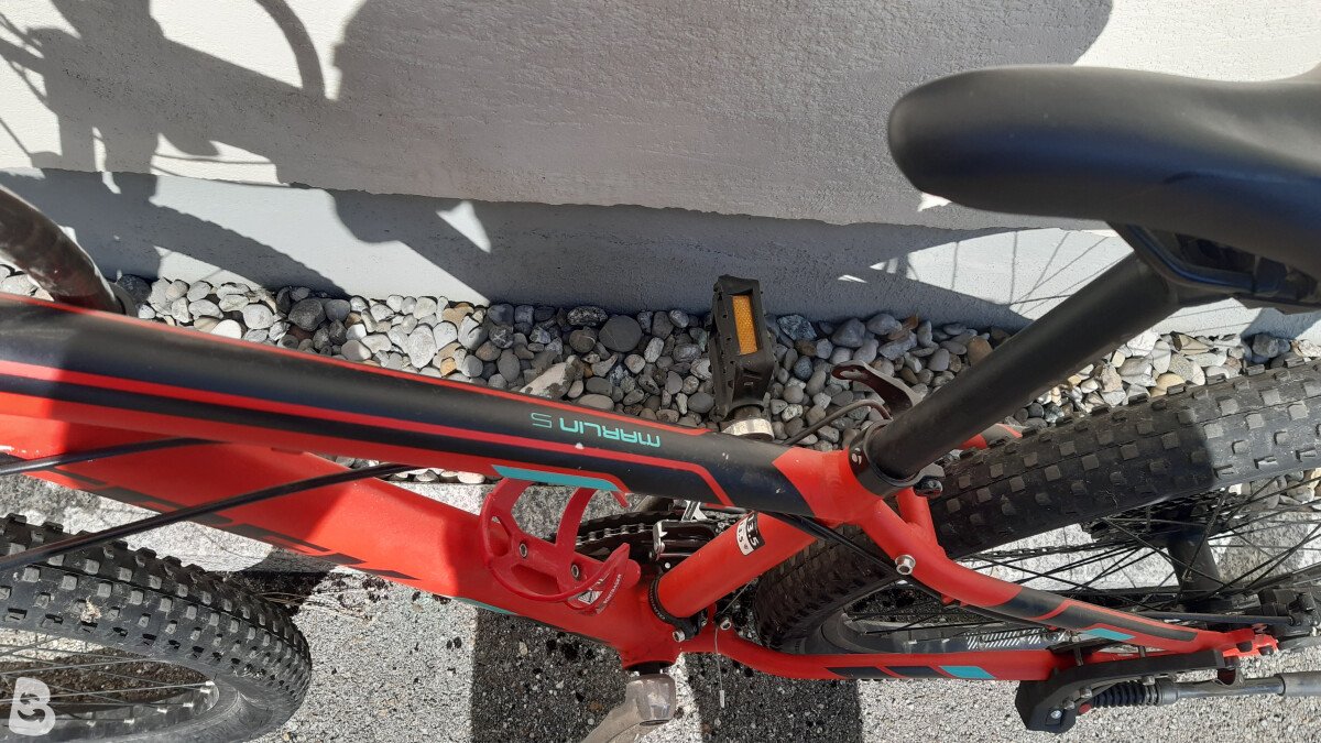 Trek Marlin 5 2021