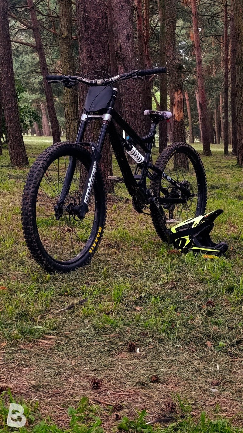 Rose SOUL FIRE DH 2023