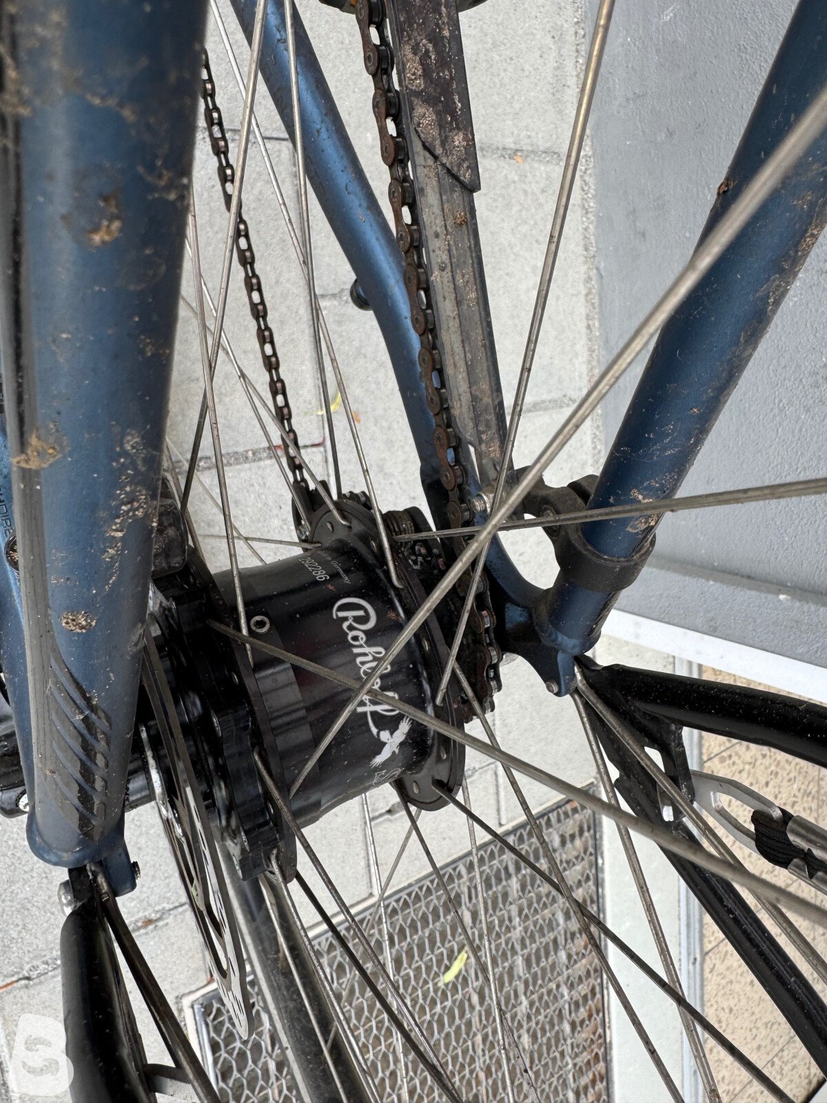 Simplon Spotlight 2020