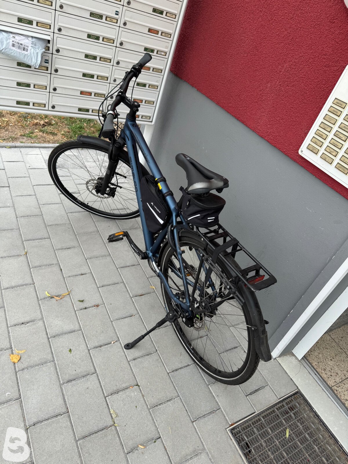 Simplon Spotlight 2020