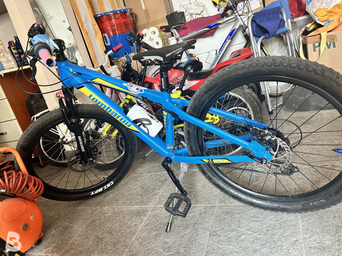 Lombardo Mozia Disc 2022