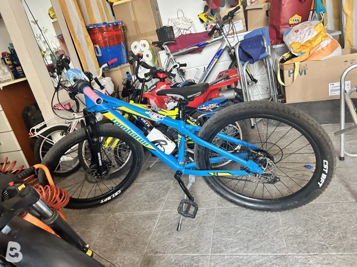 Lombardo Mozia Disc 2022