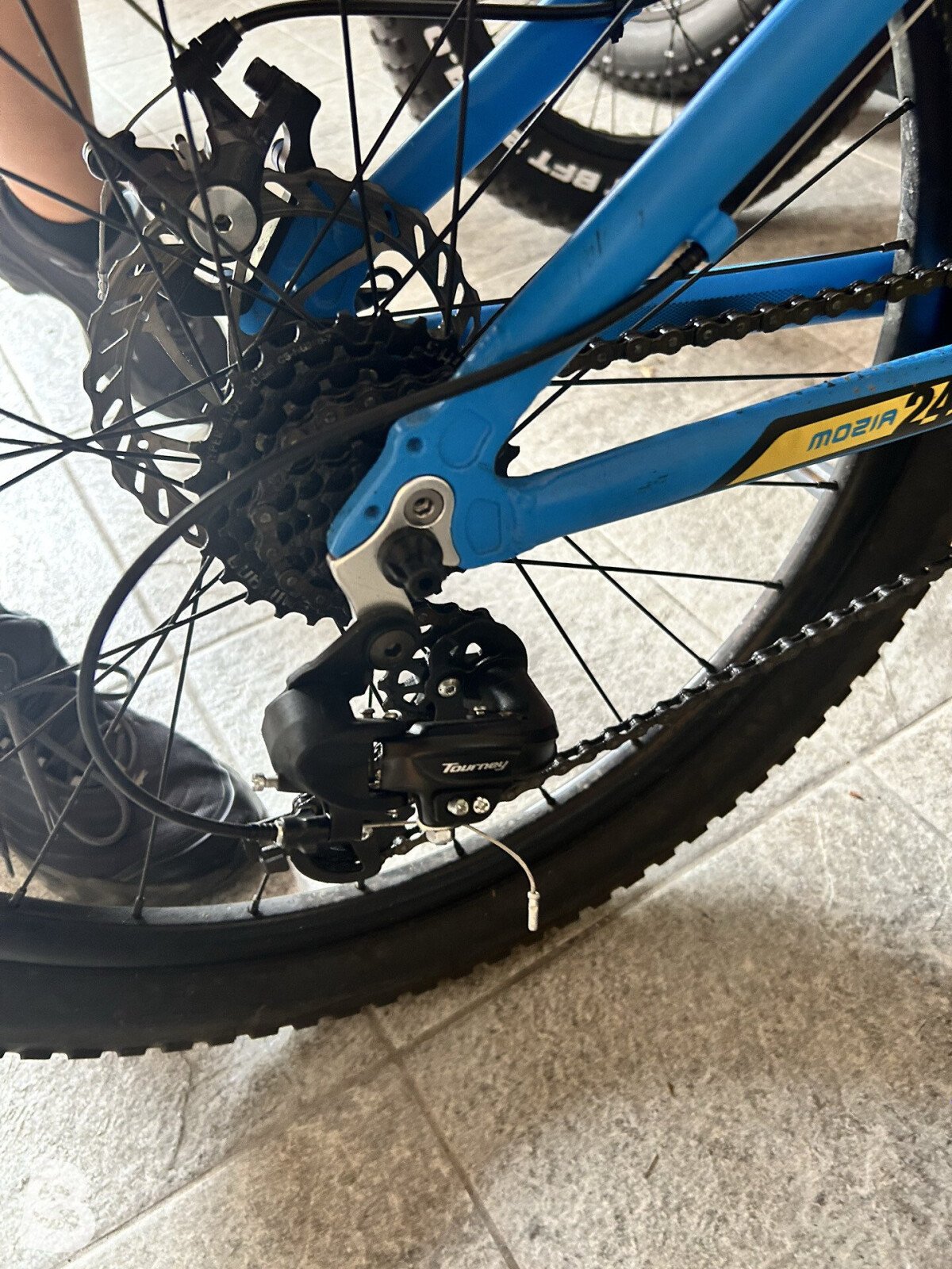 Lombardo Mozia Disc 2022