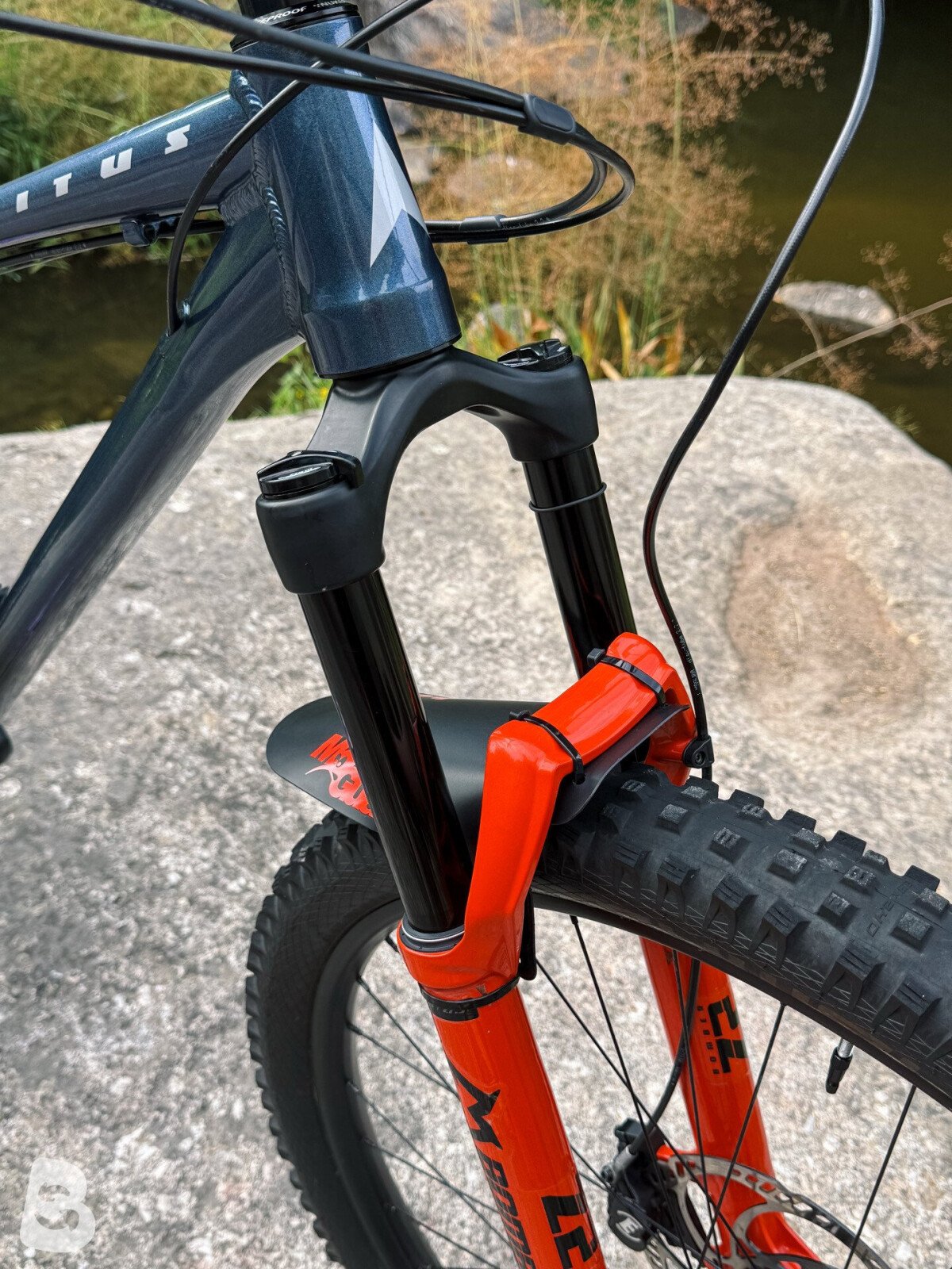 Vitus Sentier VR 2021