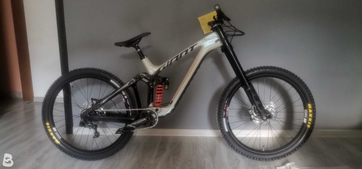 Giant Glory Advanced 2024