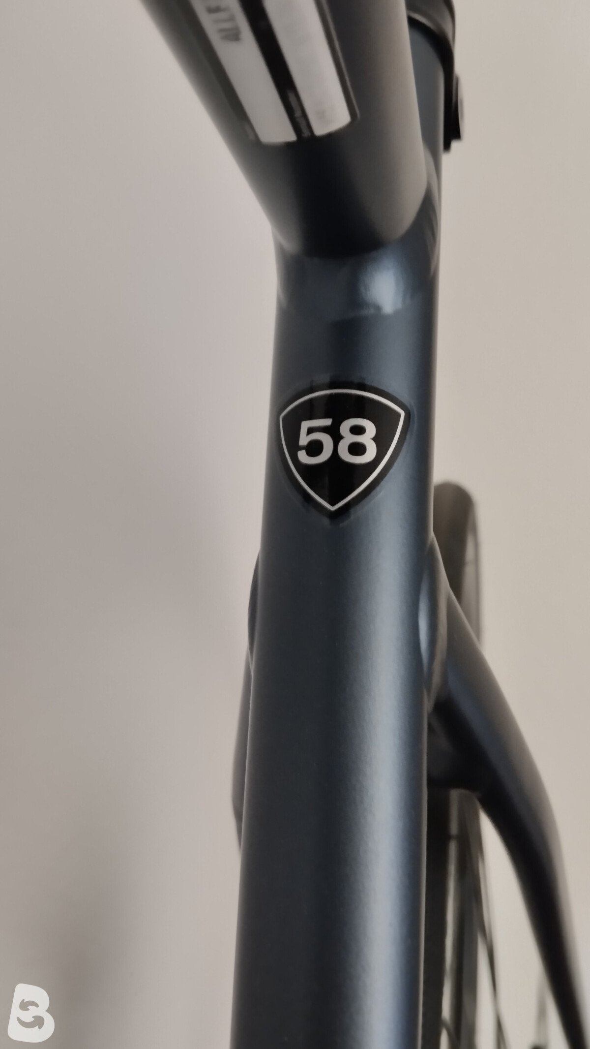 Specialized Allez Comp E5 2026