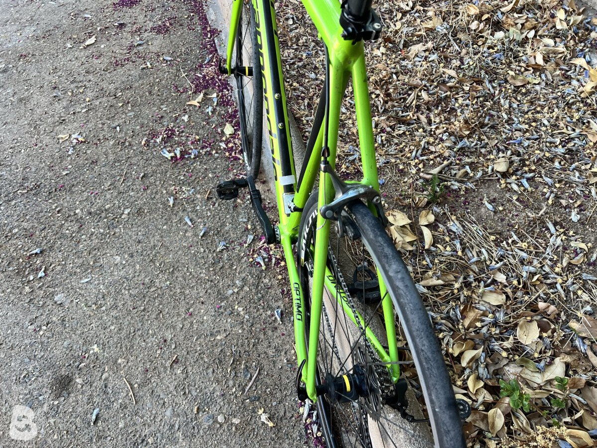 Cannondale Caad Optimo 2019