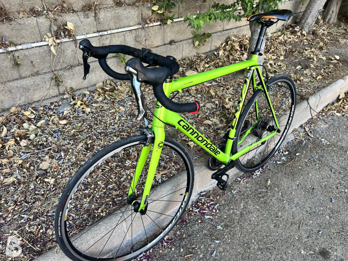 Cannondale Caad Optimo 2019