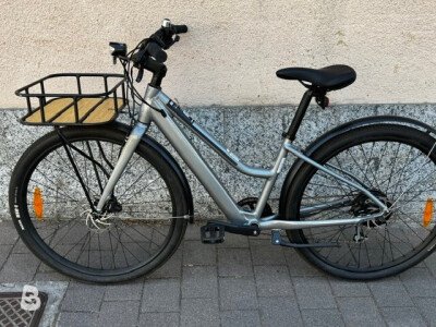 Cannondale Treadwell Neo EQ Remixte 2022