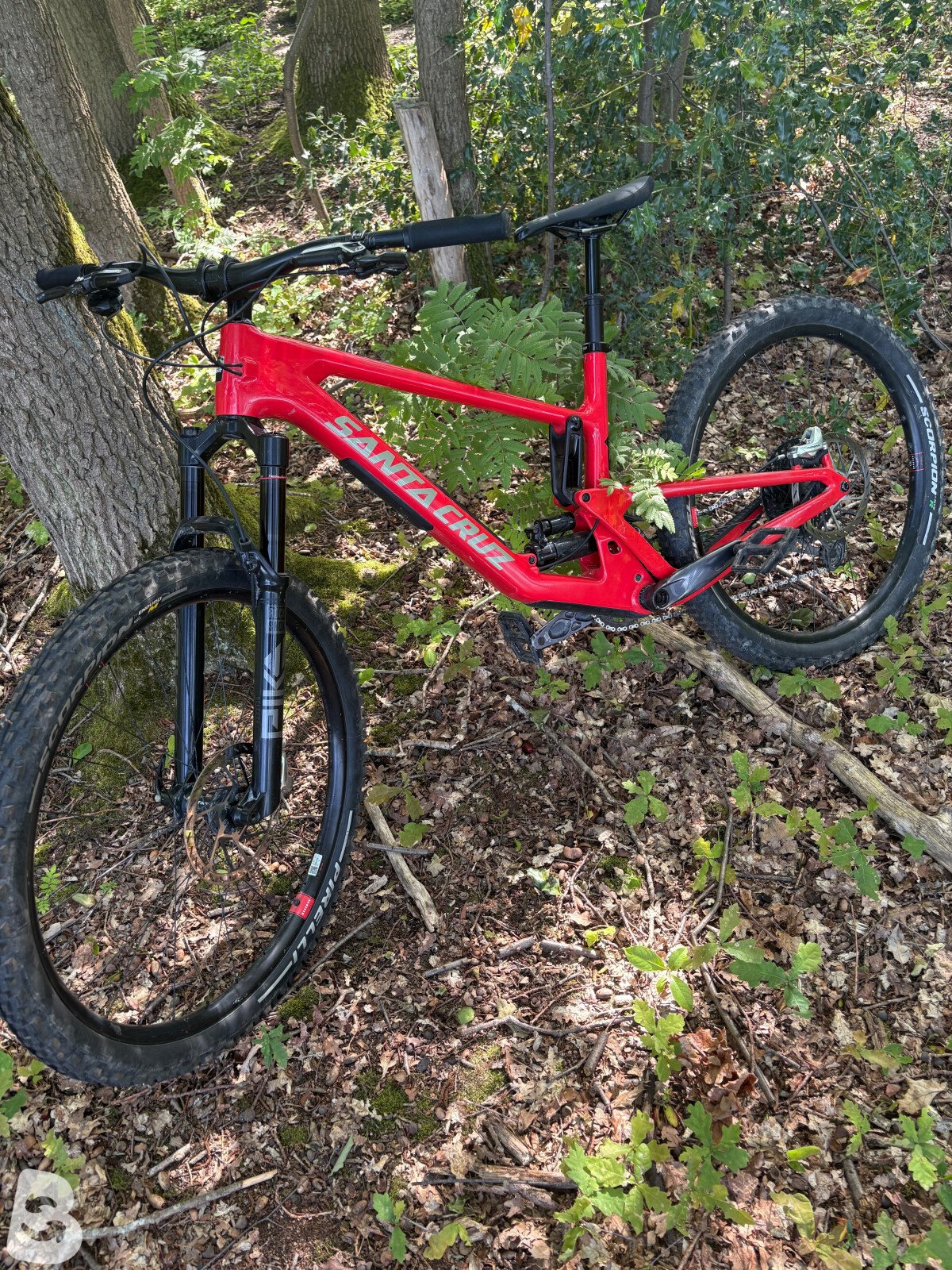 Santa Cruz 5010 V5 C MX 2024