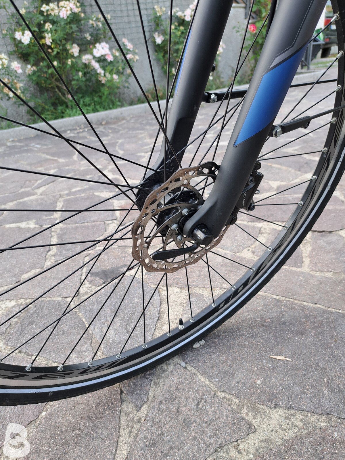 Atala E Spike 2023