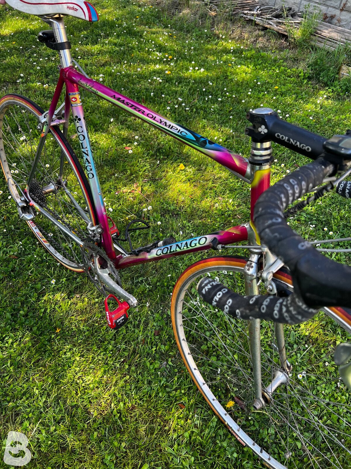 Colnago Master