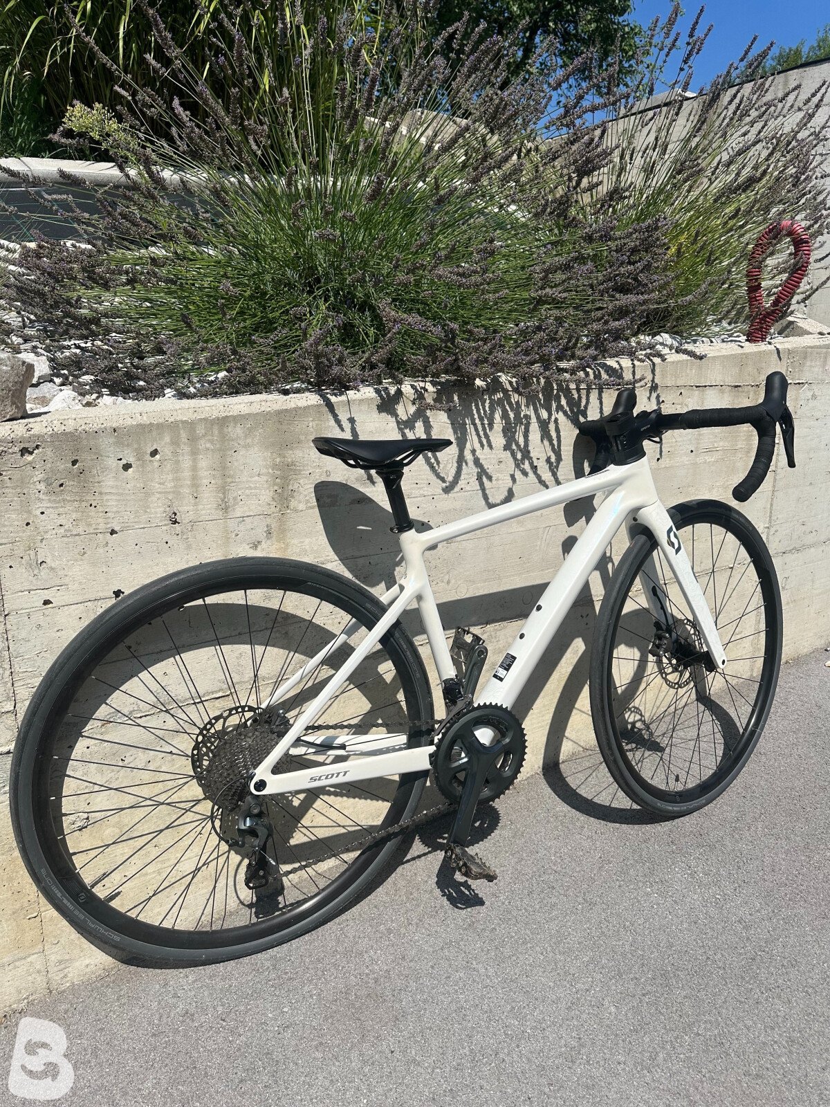 Scott Contessa Addict 35 2024