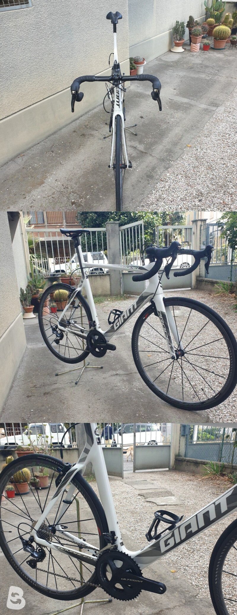 Giant Propel Advance (no ruote) 2017