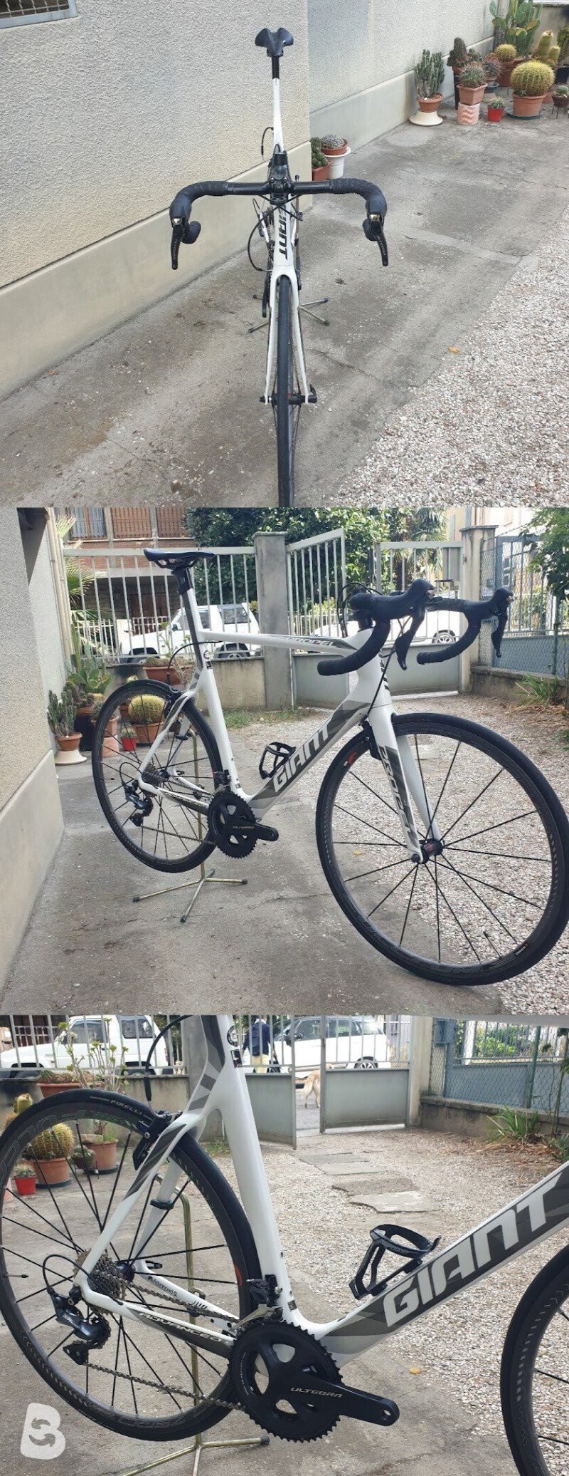 Giant Propel Advance (no ruote) 2017
