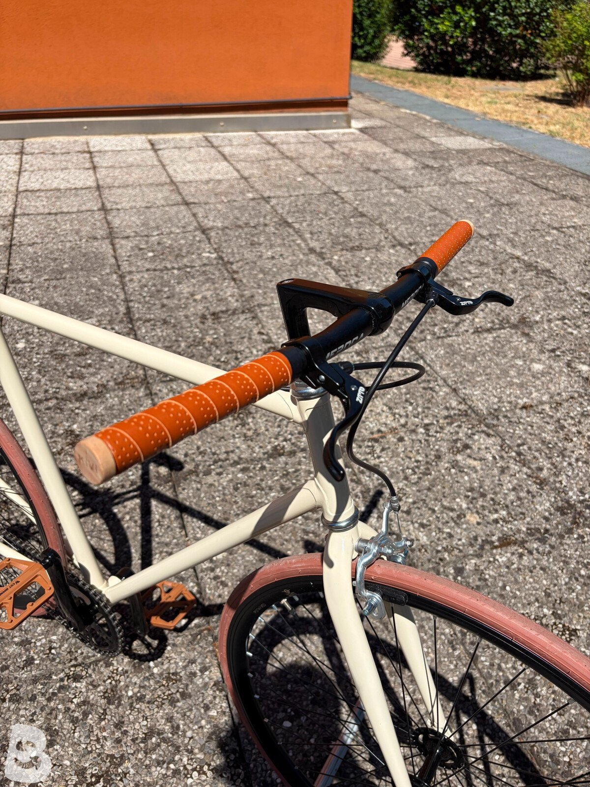 Olmo Fixed