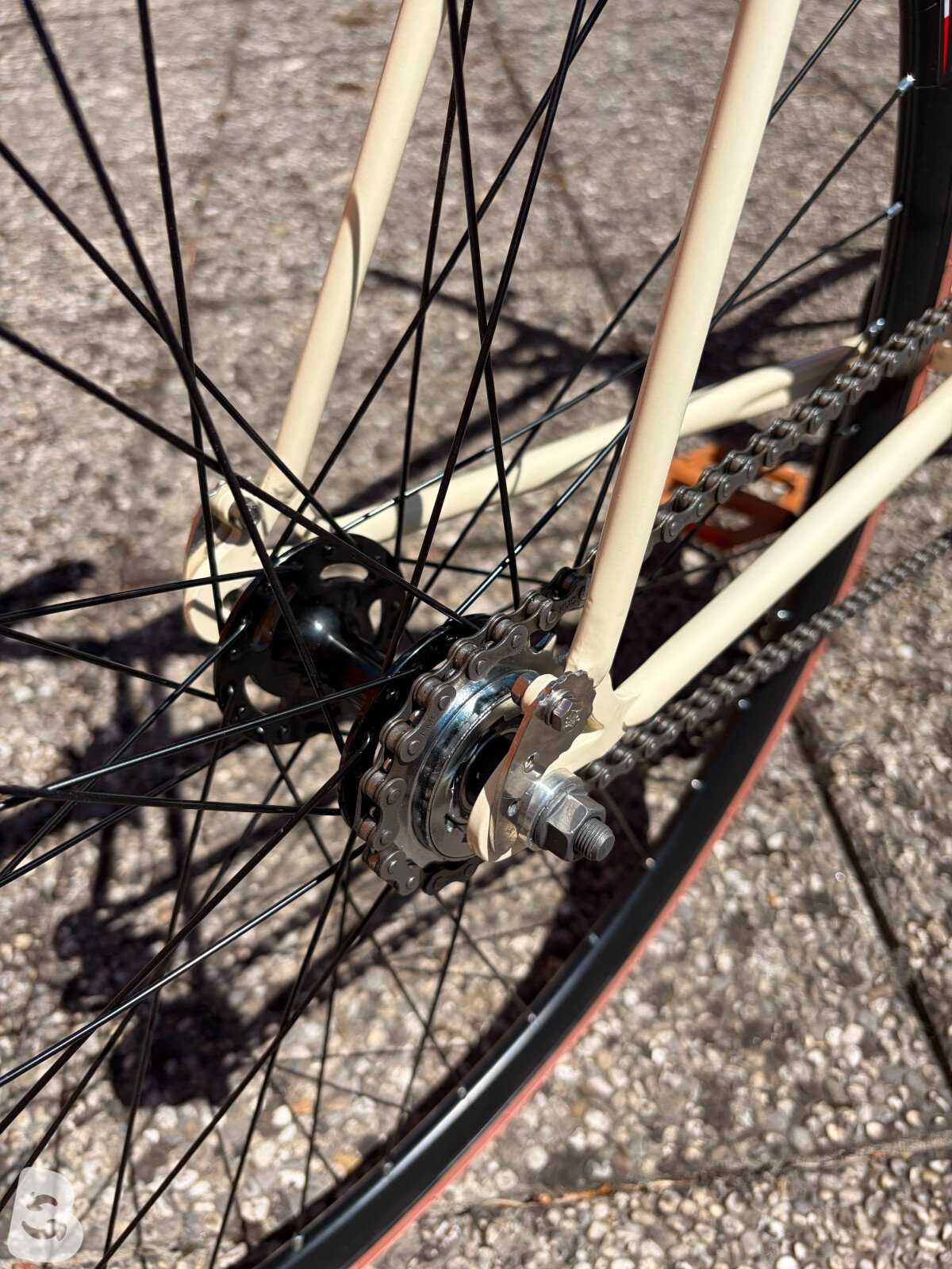 Olmo Fixed
