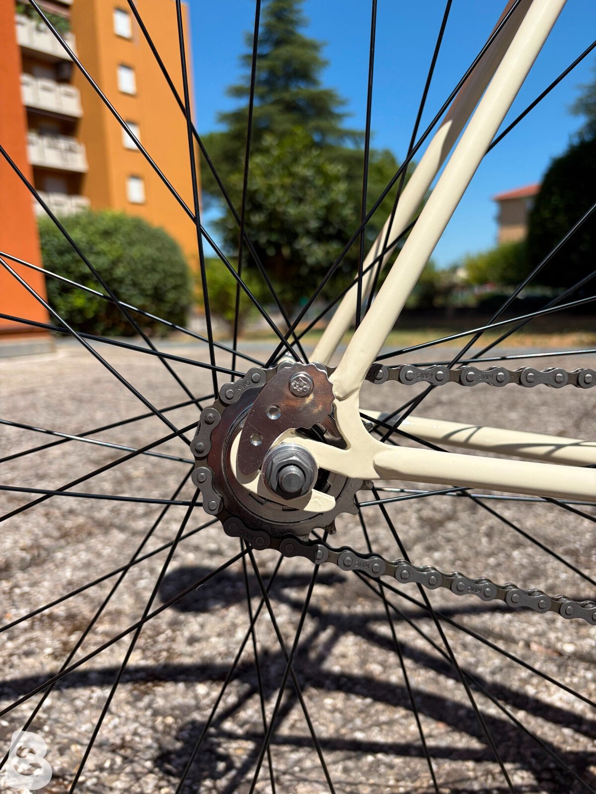 Olmo Fixed