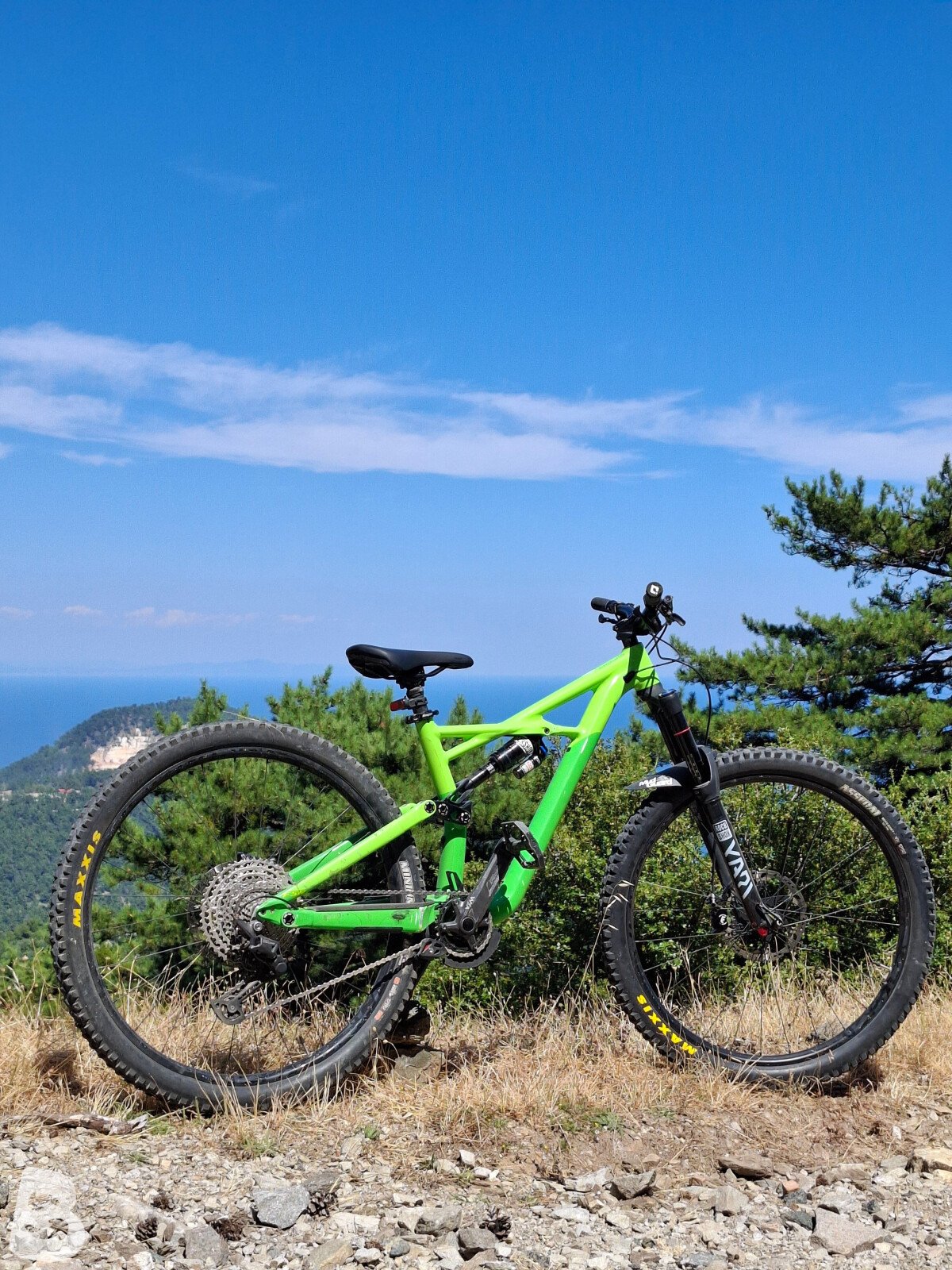 Specialized Enduro 29/6 fattie 2017