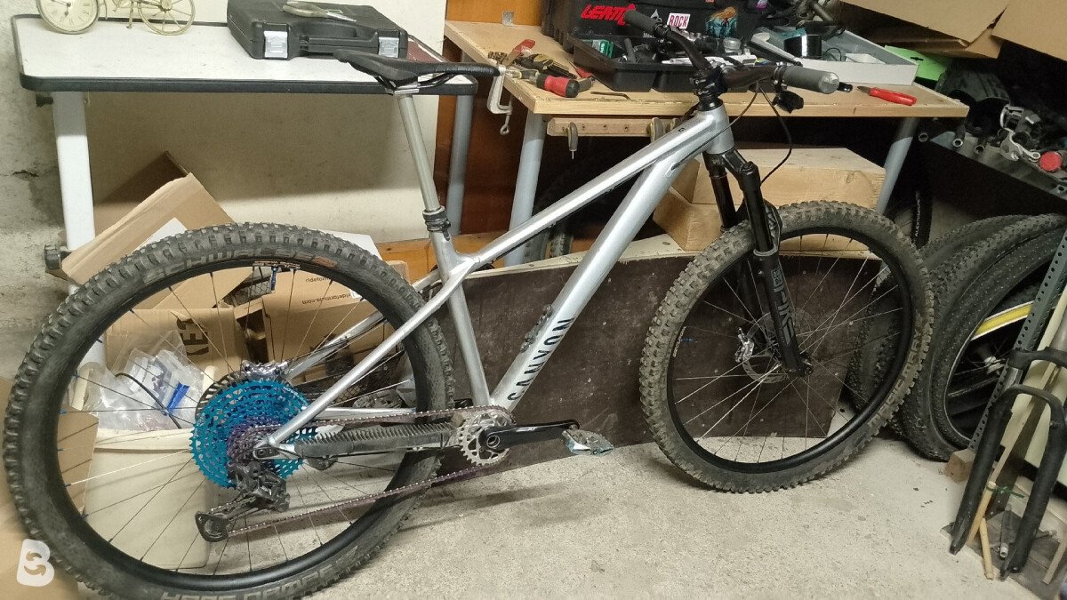 Canyon Stoic Custom 2023