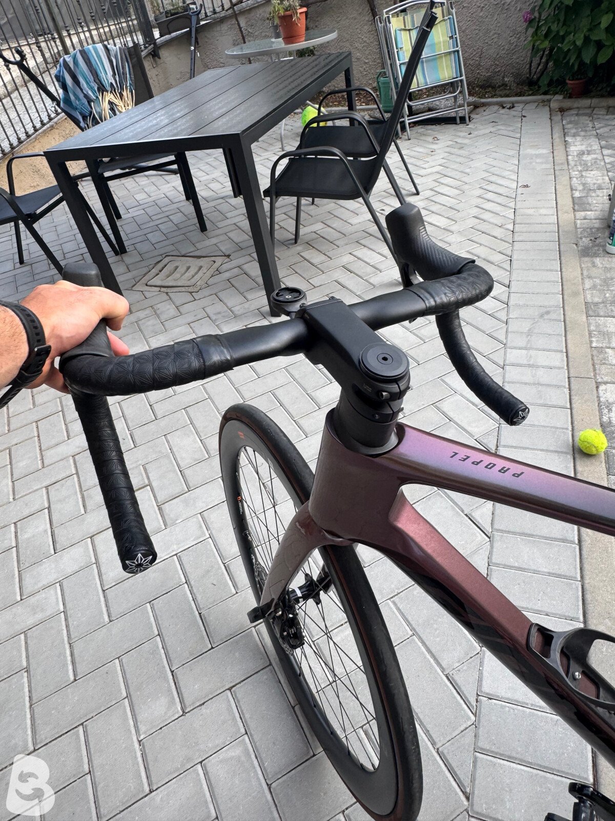 Giant Propel, Advanced 1 2023