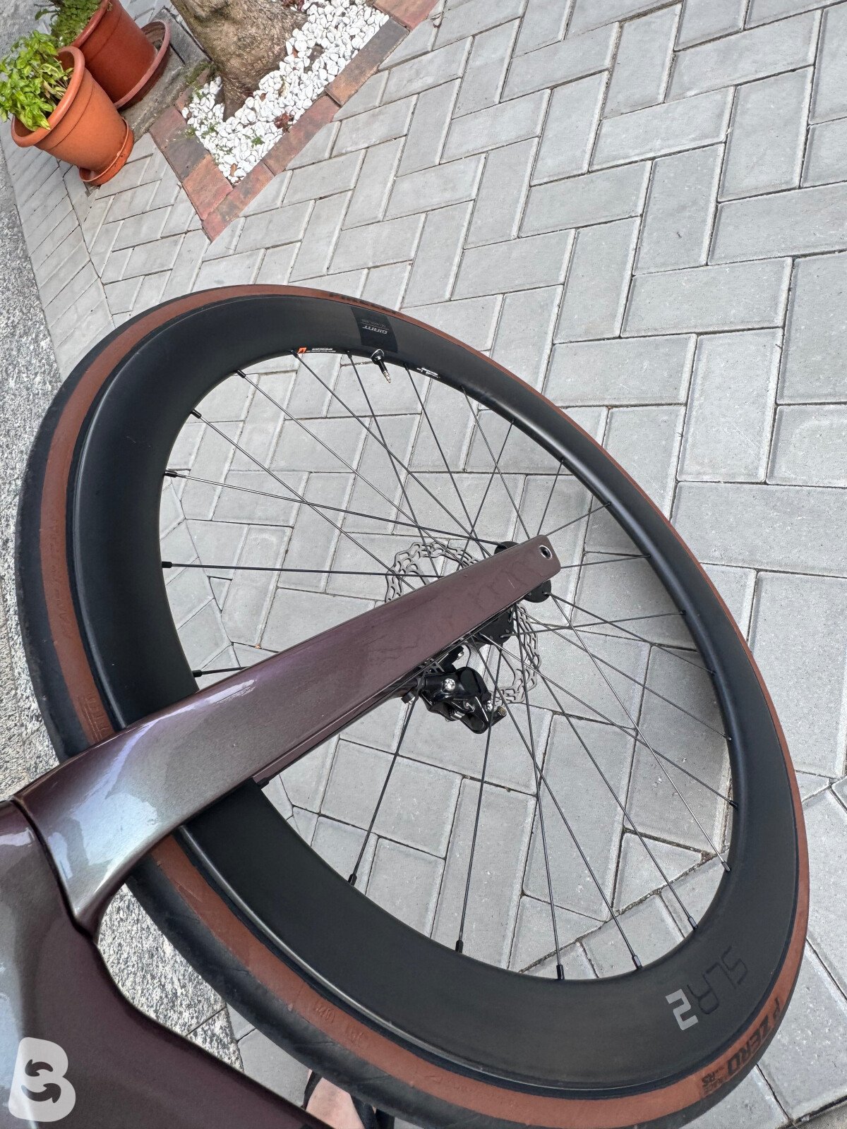 Giant Propel, Advanced 1 2023