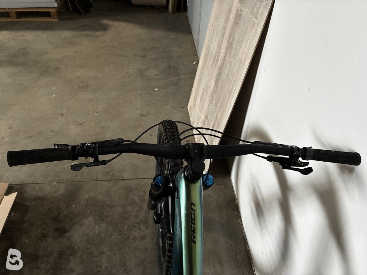 Giant Reign, Advanced 1 2020