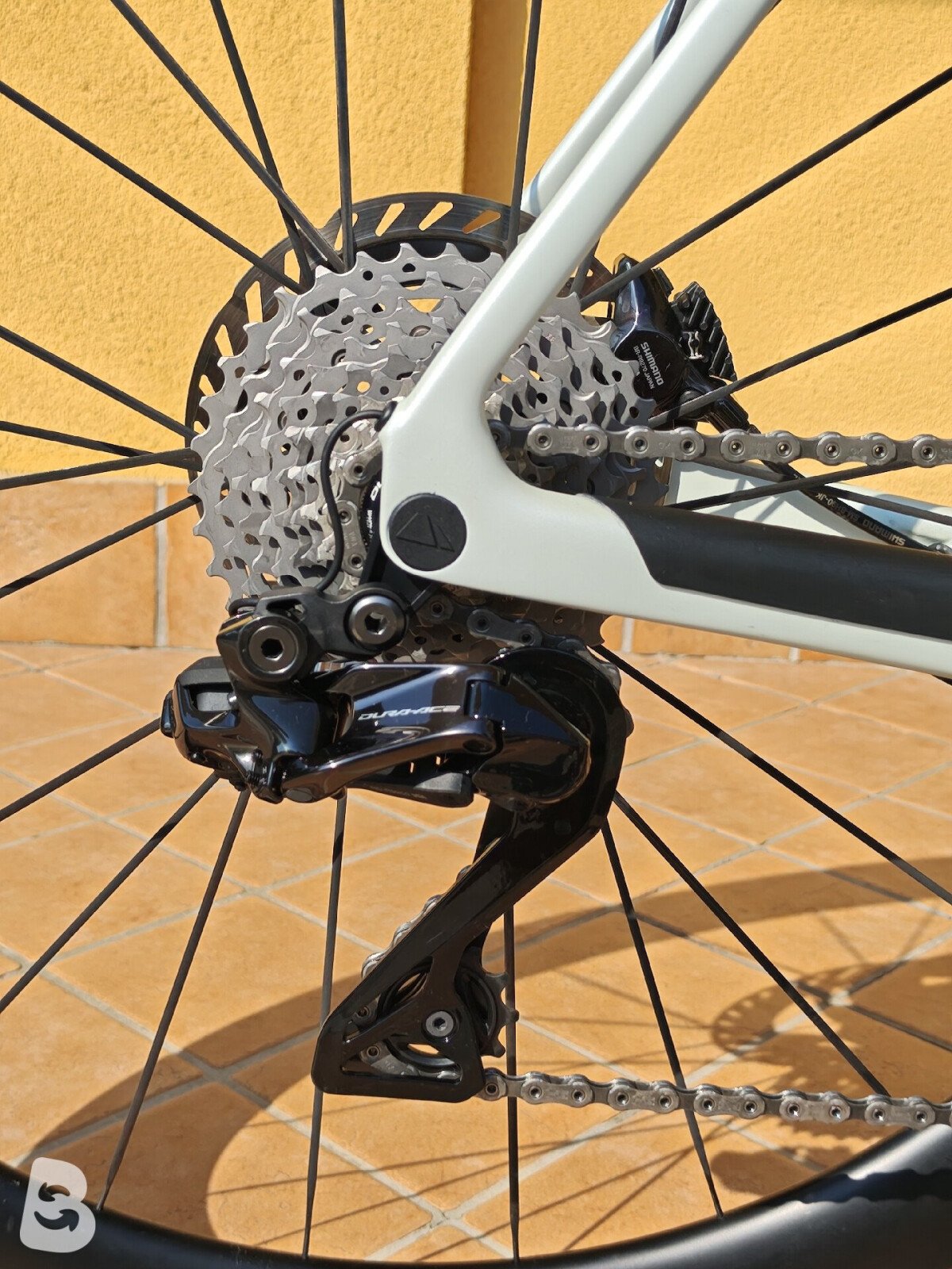 Canyon Endurace 2026