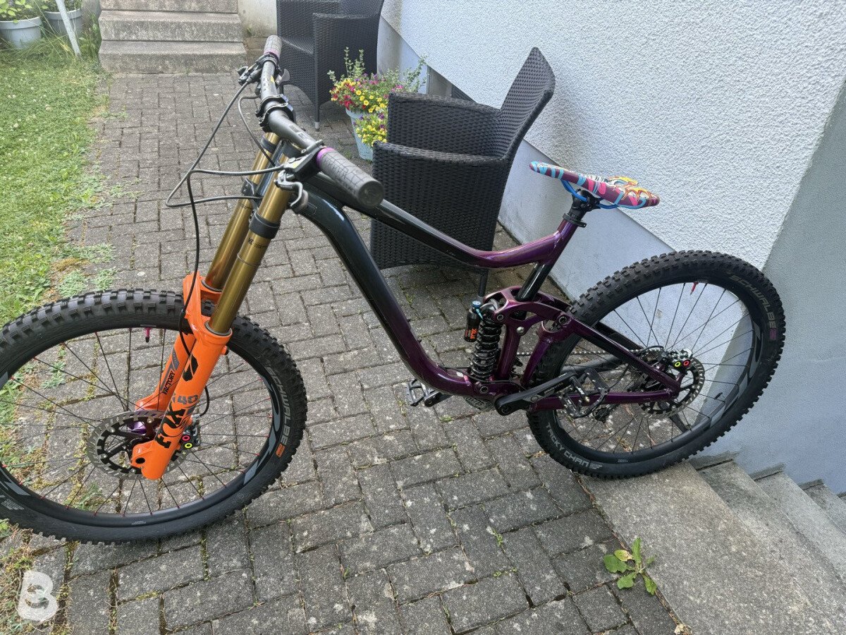 Giant Reign SX 2020