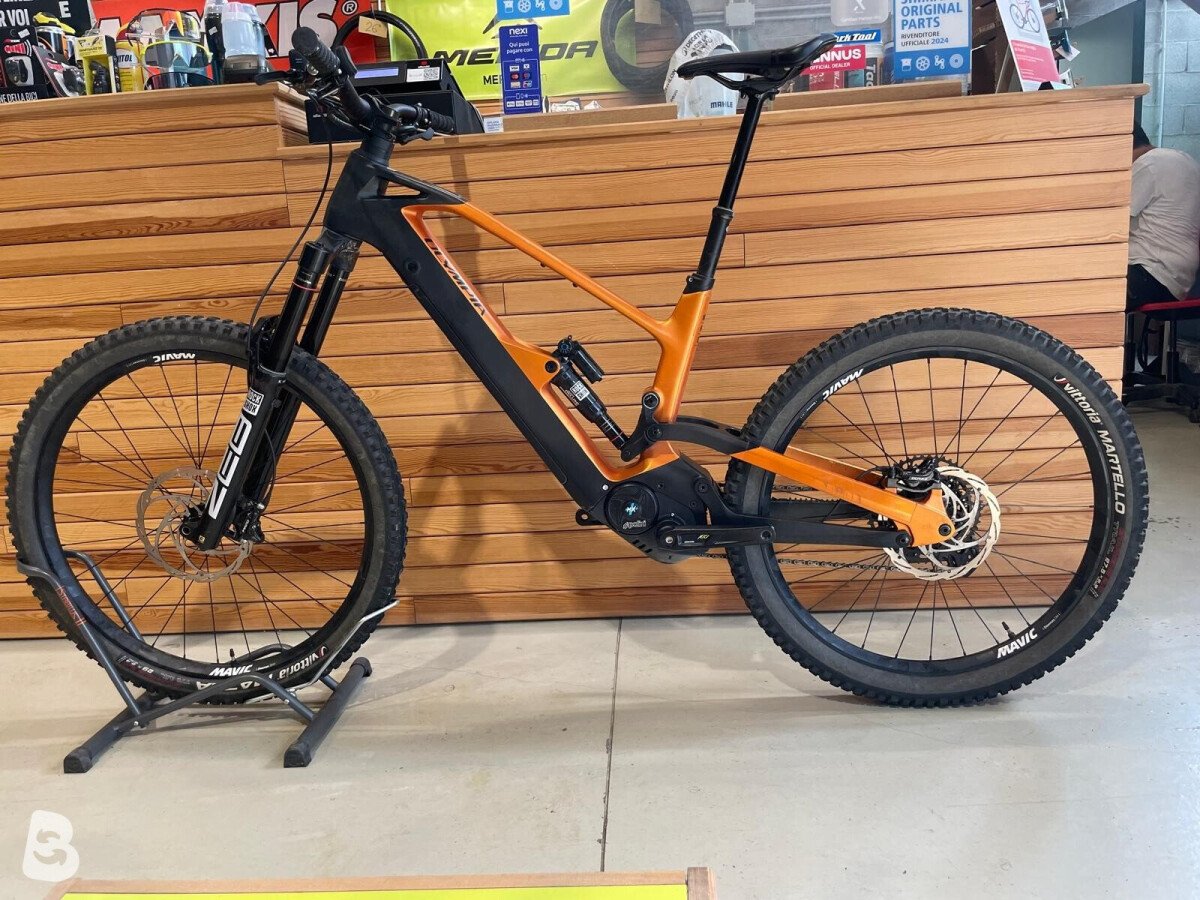 Olympia Murdok 2025