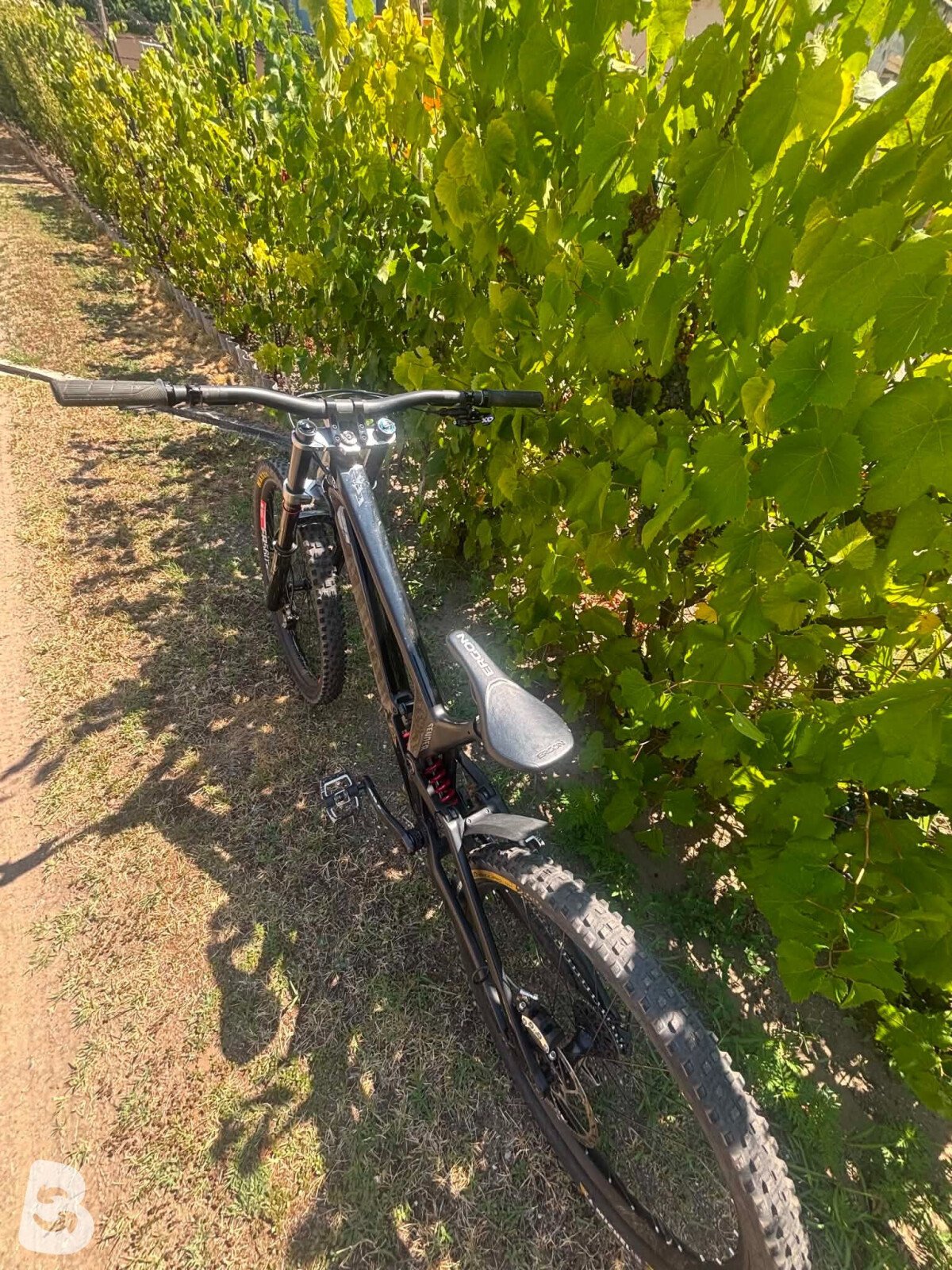 Canyon Sender CFR 2021
