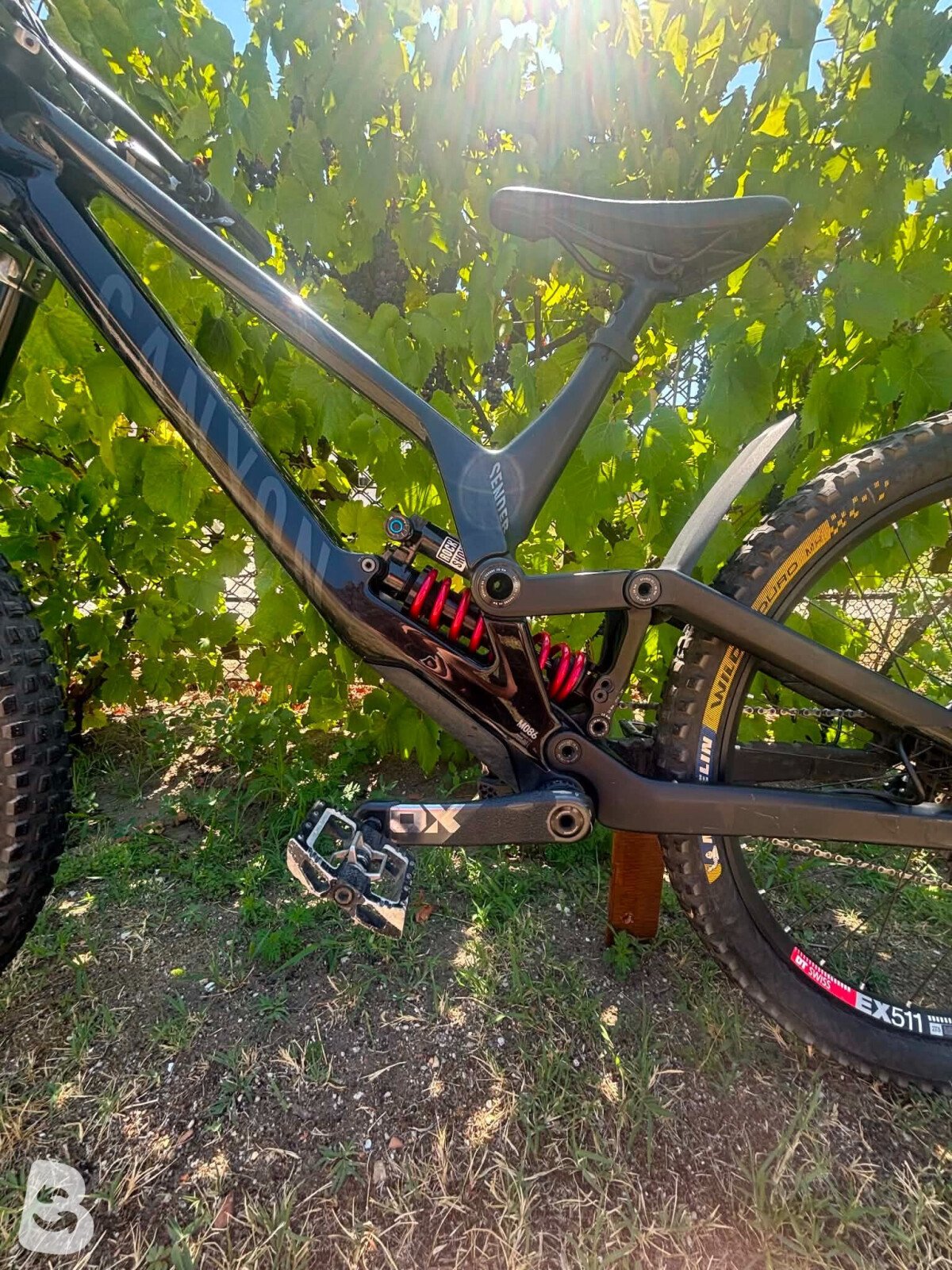 Canyon Sender CFR 2021