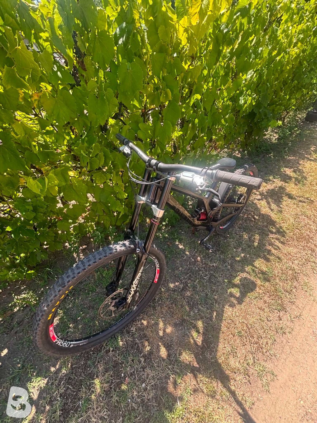 Canyon Sender CFR 2021